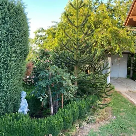 Appartamento Apartma Jozica In Toncek Sveti Jurij ob Scavnici