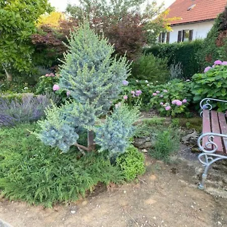 Apartma Jozica In Toncek Sveti Jurij ob Scavnici