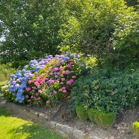 Apartma Jozica In Toncek *