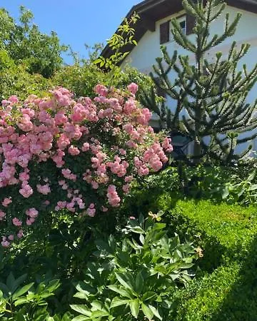 Apartma Jozica In Toncek Sveti Jurij ob Scavnici