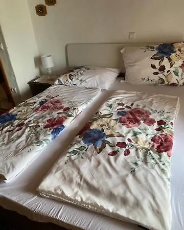 Apartma Jozica In Toncek Sveti Jurij ob Scavnici