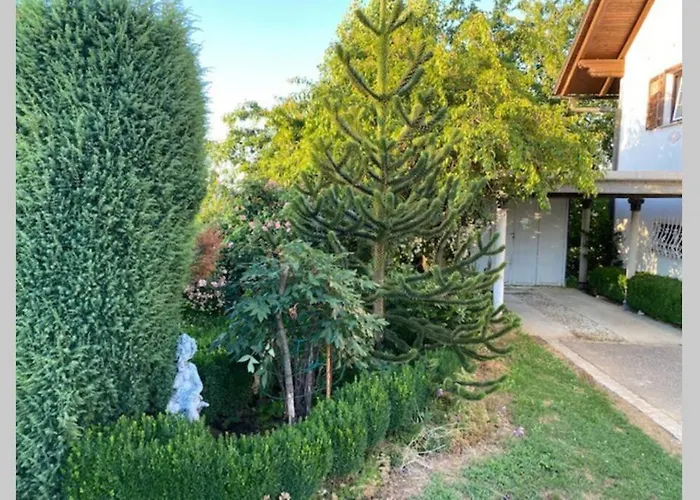 Apartamento Apartma Jozica In Toncek Sveti Jurij ob Scavnici