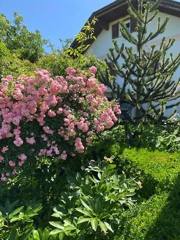 Apartma Jozica In Toncek Sveti Jurij ob Scavnici